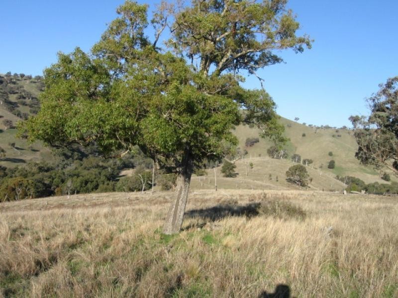 Narrawa NSW 2583