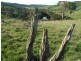 Narrawa NSW 2583