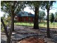 3740 Narrandera Road, Colinroobie NSW 2700