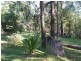 262 Black Mountain Road, Nymboida NSW 2460