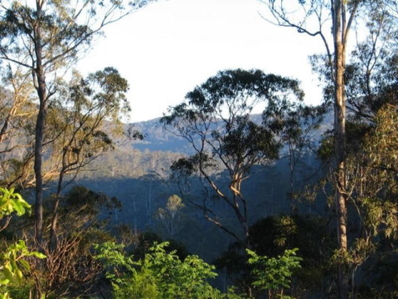 369 Devils Hole Road, Wyndham NSW 2550