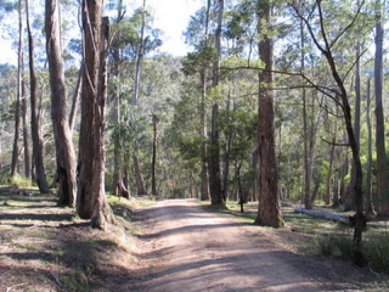 369 Devils Hole Road, Wyndham NSW 2550