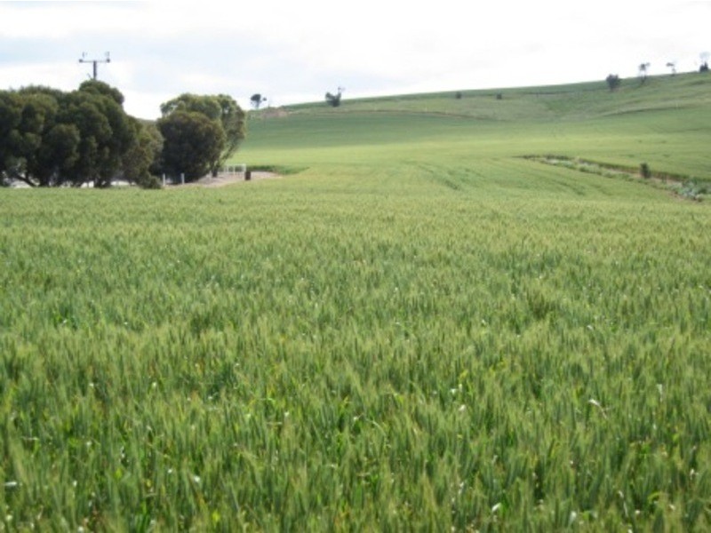 9A Tennyson Tce, Port Lincoln SA 5606