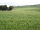 Lot 6 Lincoln Highway, Port Lincoln SA 5606