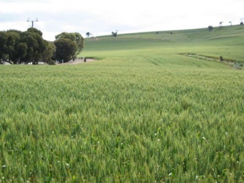 Lot 6 Lincoln Highway, Port Lincoln SA 5606