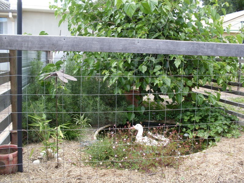 22 Woodward St, Orange NSW 2800