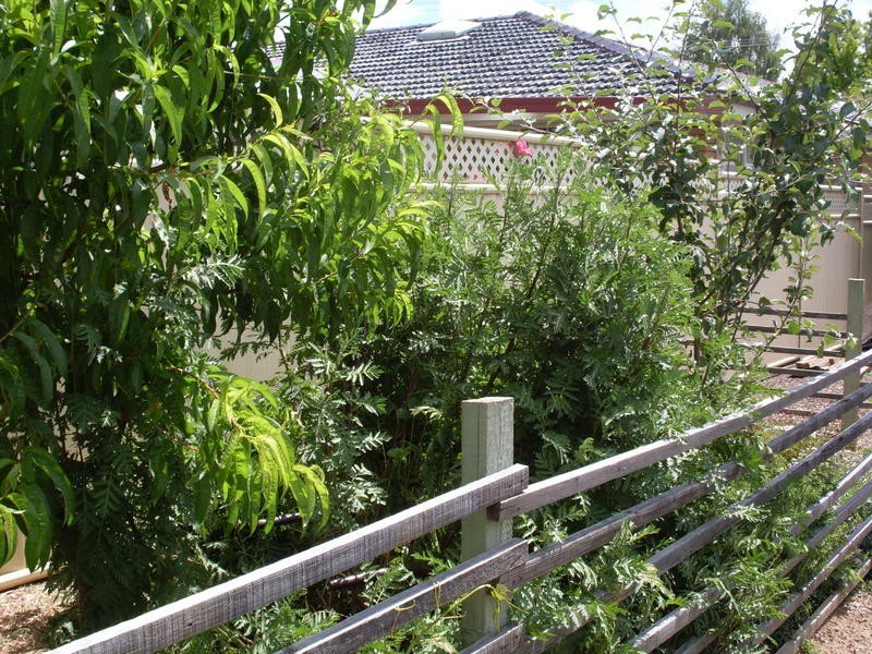 22 Woodward St, Orange NSW 2800