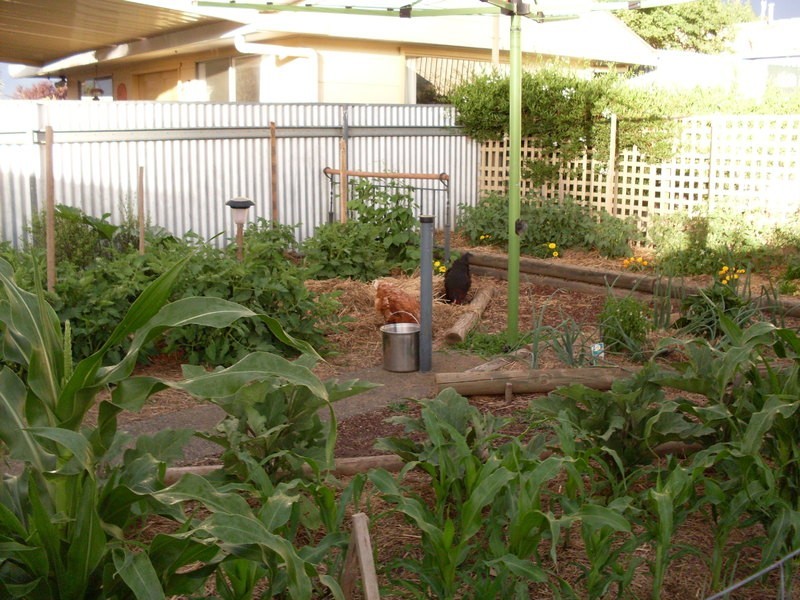 22 Woodward St, Orange NSW 2800