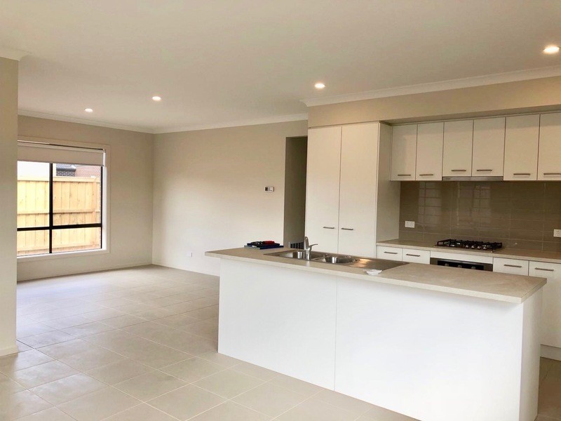 17 Briggs Way, Tarneit VIC 3029