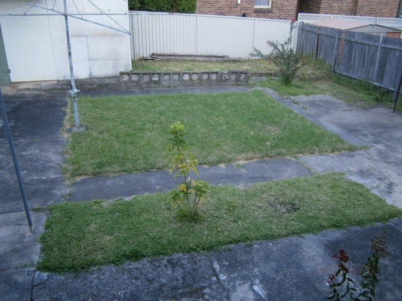 6 Morgan Street, Earlwood NSW 2206