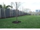 43 York Street, Sandy Bay TAS 7005