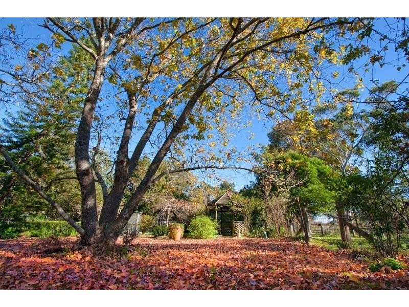 37 Cranstons Rd, Middle Dural NSW 2158