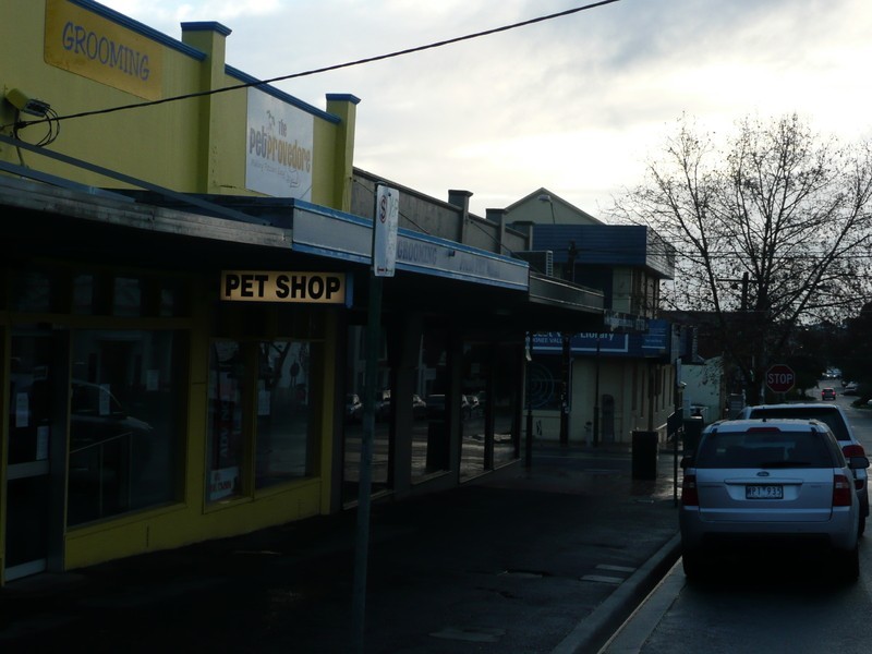 59 St Leonards Road, Ascot Vale VIC 3032