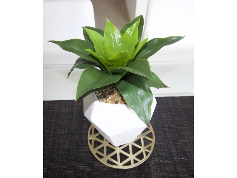 A607/48-56 Derby Street, Kingswood NSW 2747