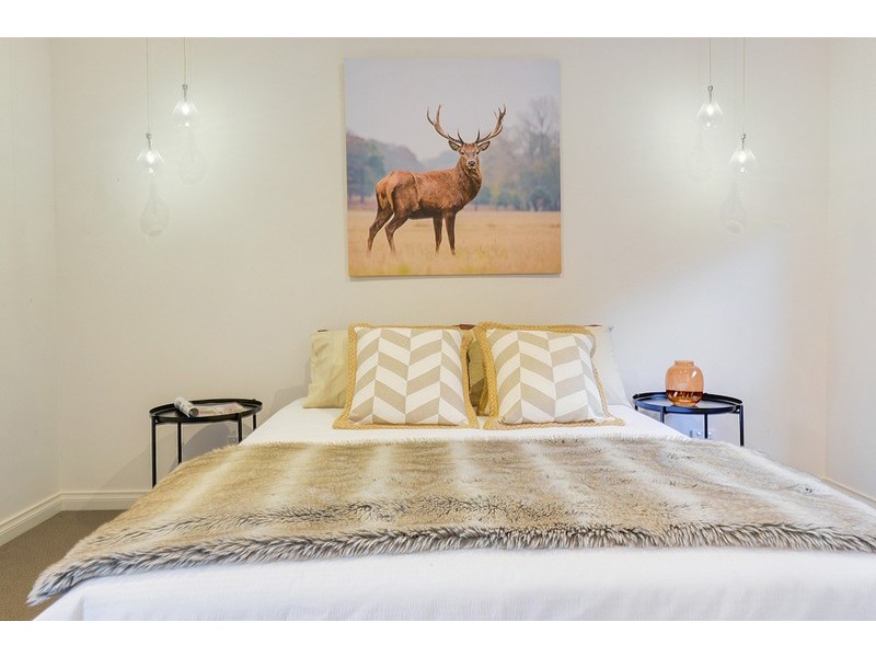 7 Dudley Avenue, Daw Park SA 5041