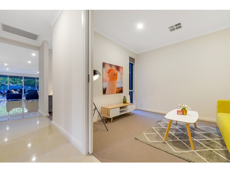 7 Dudley Avenue, Daw Park SA 5041