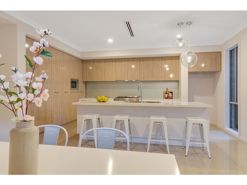 7 Dudley Avenue, Daw Park SA 5041