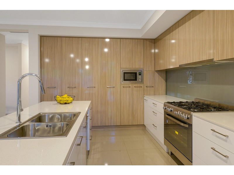 7 Dudley Avenue, Daw Park SA 5041