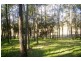 11 Threlkeld Drive, Cattai NSW 2756