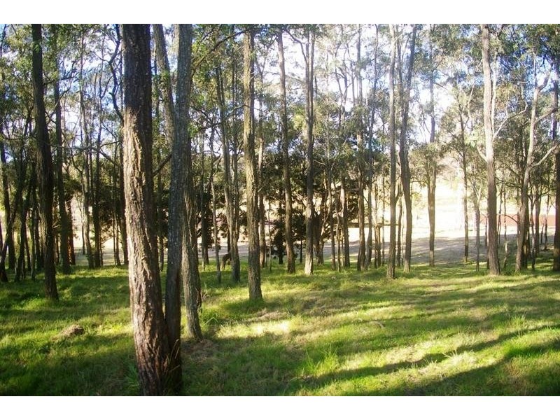 11 Threlkeld Drive, Cattai NSW 2756