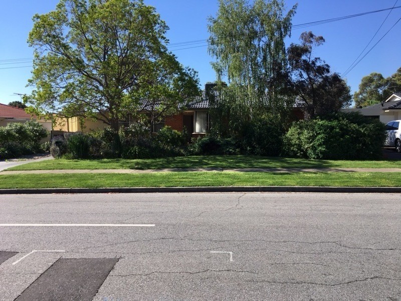 54 Doradus Avenue, St Agnes SA 5097