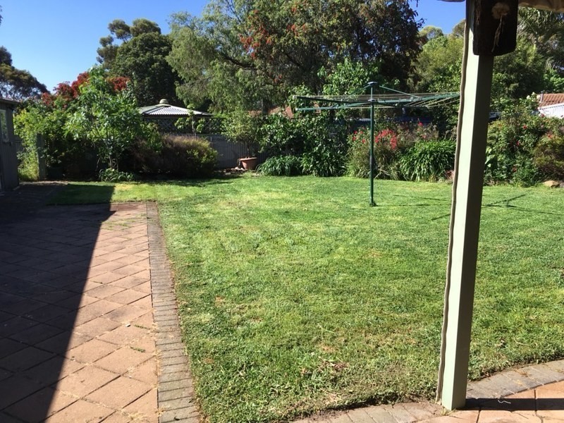 54 Doradus Avenue, St Agnes SA 5097