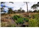 10  Heald Road, Travellers Rest TAS 7250
