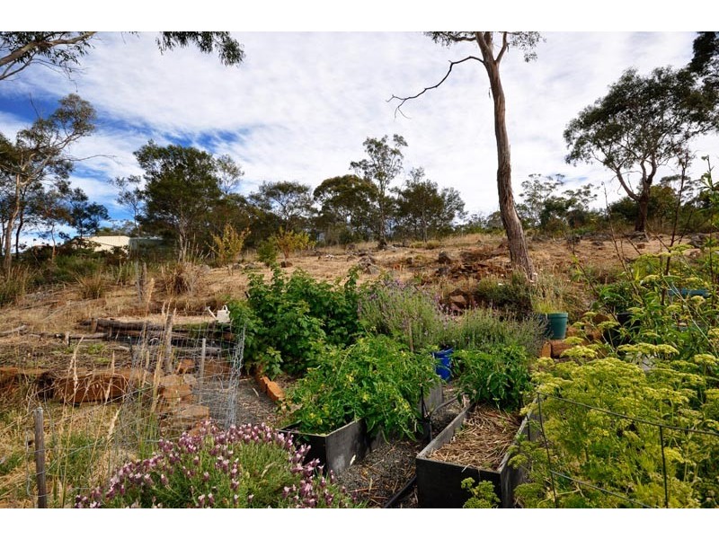 10  Heald Road, Travellers Rest TAS 7250