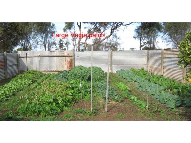 206 Tikana Road, Lochiel SA 5510