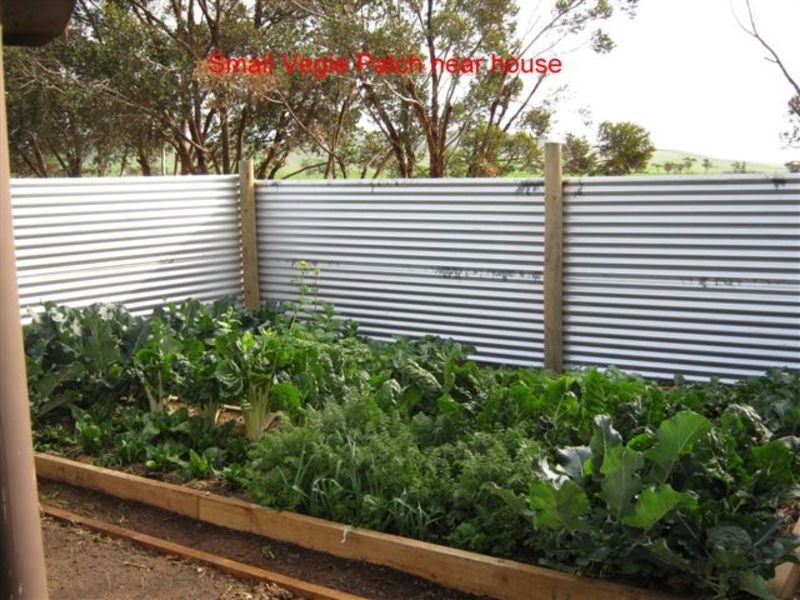 206 Tikana Road, Lochiel SA 5510