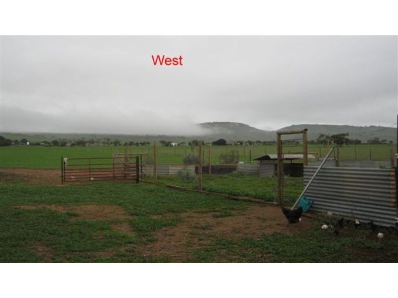 206 Tikana Road, Lochiel SA 5510