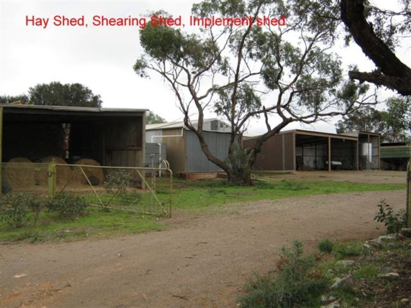 206 Tikana Road, Lochiel SA 5510