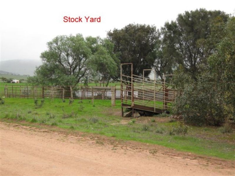206 Tikana Road, Lochiel SA 5510