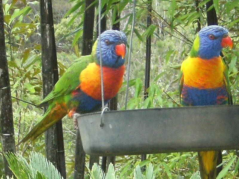 173 Jerome Rd, Barrine QLD 4872