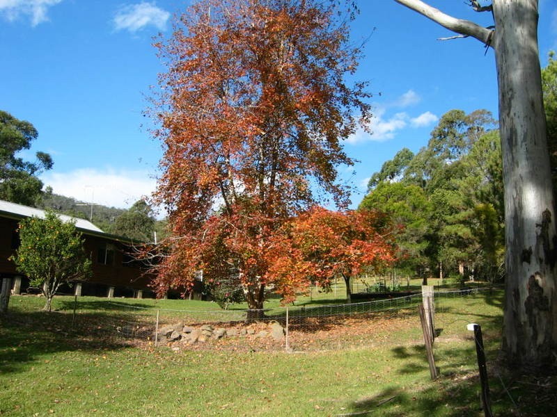 2509 Sherwood Creek Road, Glenreagh NSW 2450