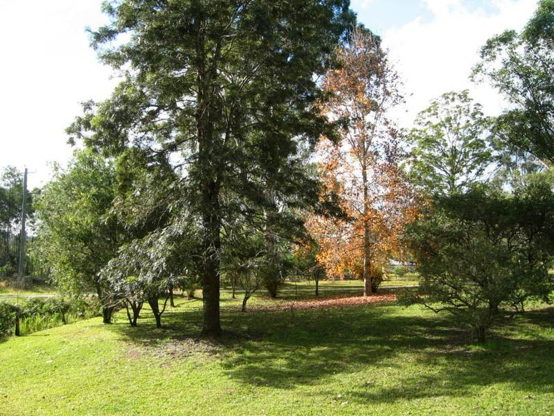 2509 Sherwood Creek Road, Glenreagh NSW 2450