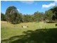 2509 Sherwood Creek Road, Glenreagh NSW 2450