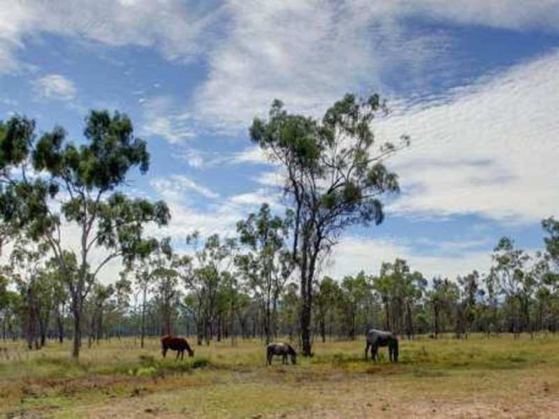 191 Skydiver Rd, Woodstock QLD 4816