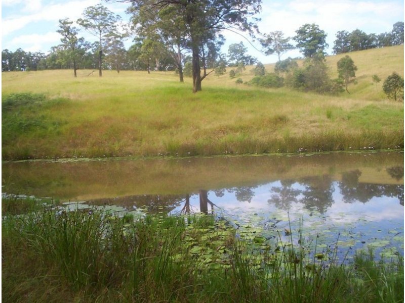 998  Nowendoc Road, Charity Creek NSW 2424