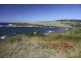 48 Attunga Avenue, Kiama Heights NSW 2533