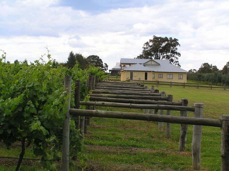 Lot 62/2 Oakey Creek Road, Pokolbin NSW 2320