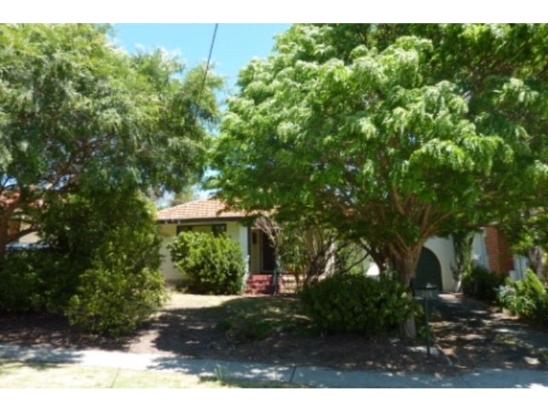 215 Woodside St, Doubleview WA 6018
