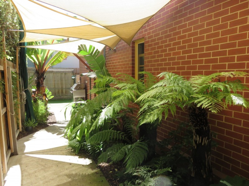 5/250 Malop Street, Geelong VIC 3220