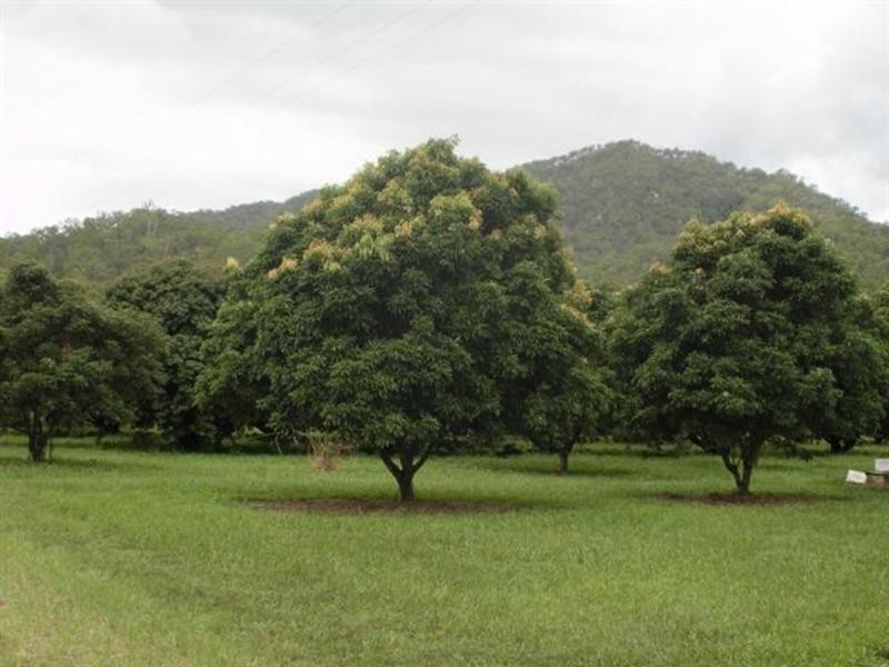 101 Caleo Road, Ollera Creek, Mutarnee, Townsville QLD 4810