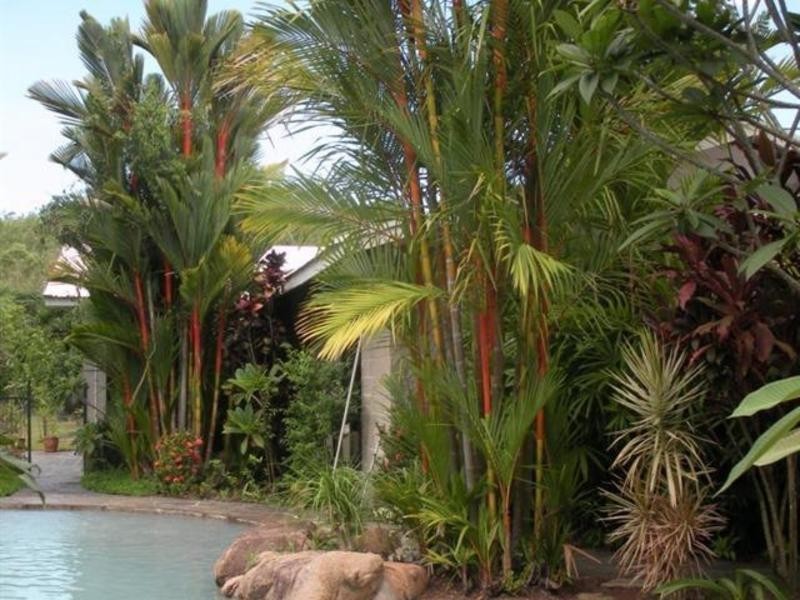 101 Caleo Road, Ollera Creek, Mutarnee, Townsville QLD 4810