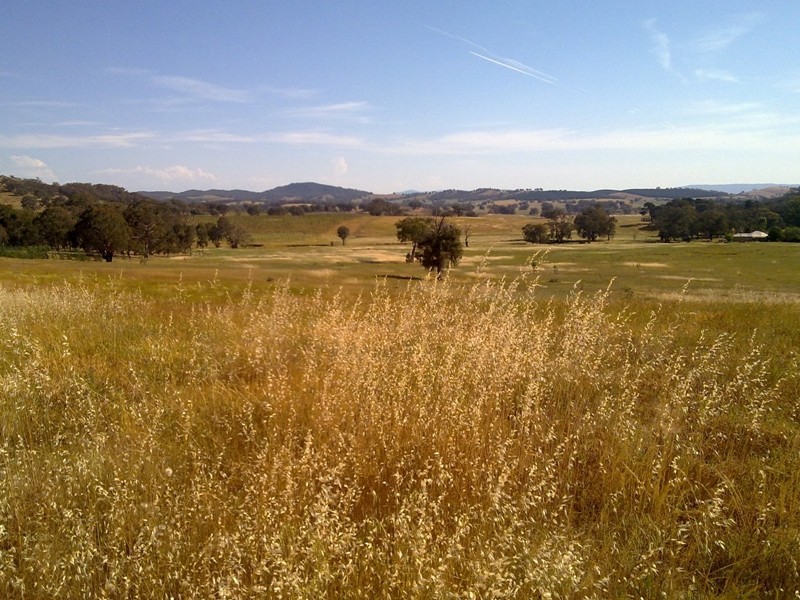 ‘Eskett’ Little Billabong Rd via Holbrook, Holbrook NSW 2644