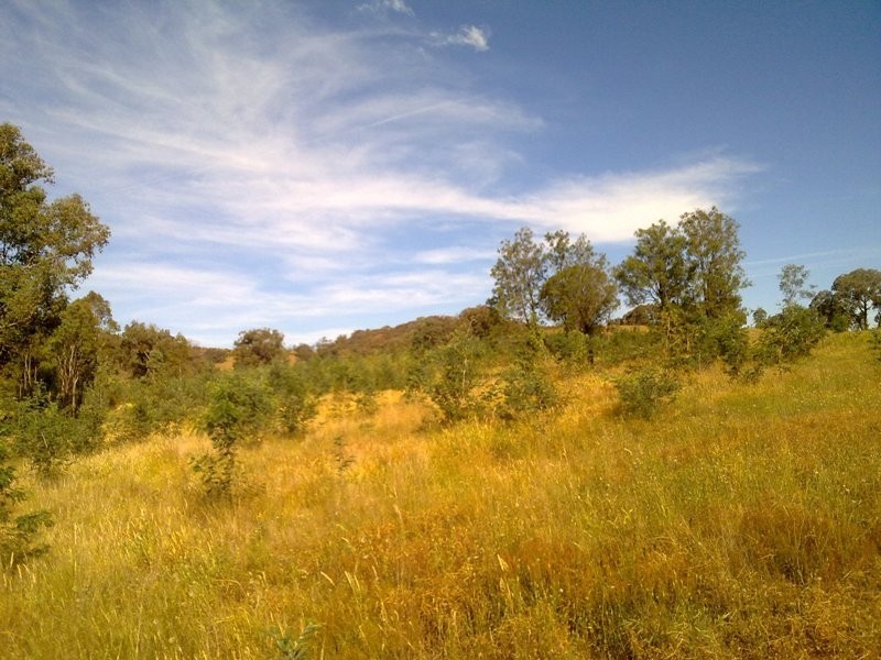 ‘Eskett’ Little Billabong Rd via Holbrook, Holbrook NSW 2644