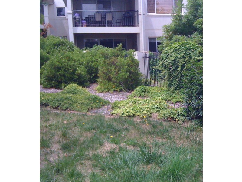 113/20 Federal Highway, Watson ACT 2602