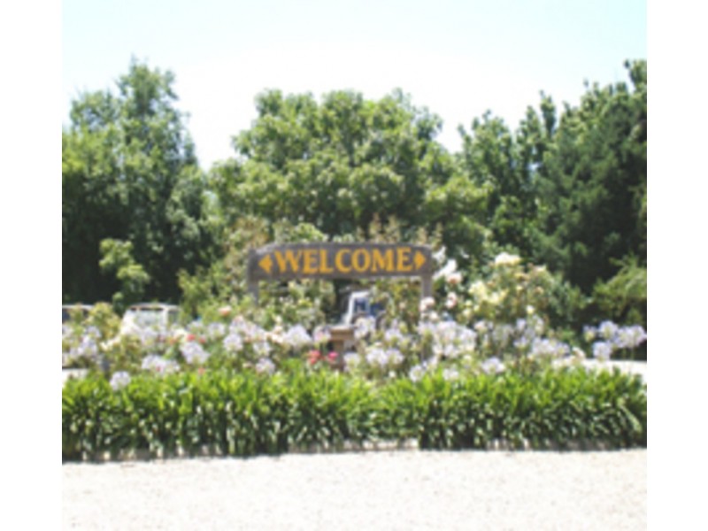 7377 Great Alpine Rd, Bright VIC 3741