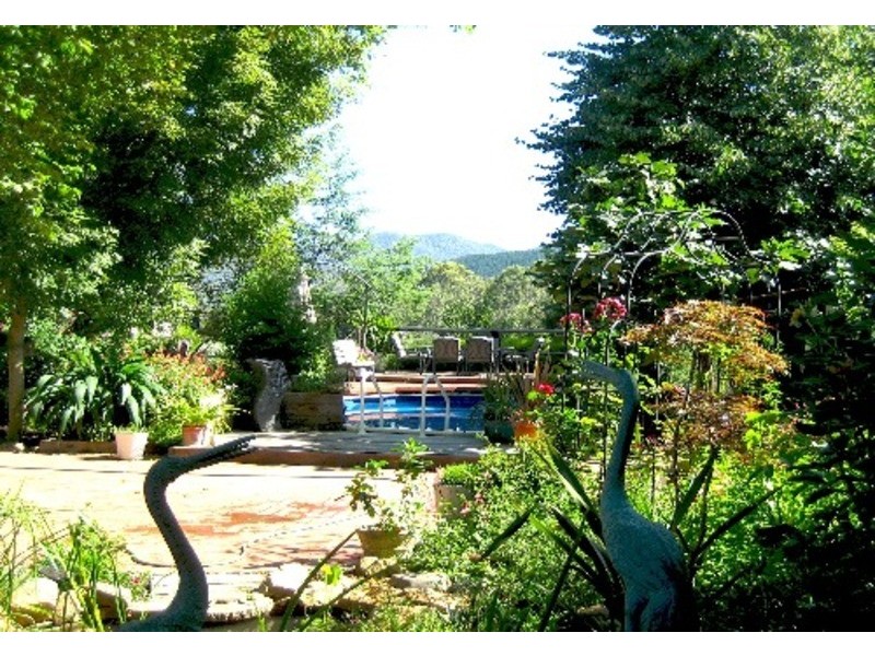 7377 Great Alpine Rd, Bright VIC 3741